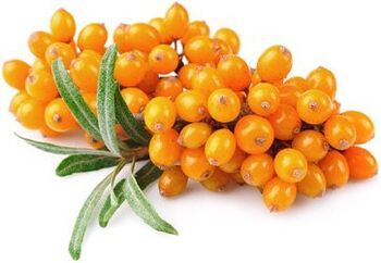 Sea ​​buckthorn