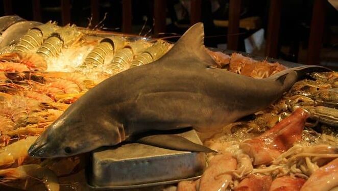 Shark meat to increase potency